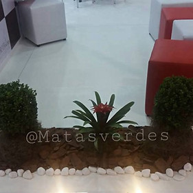 Jardim com Buchinho e Bromelia.jpeg