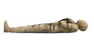 0000872950_OG_edited.png