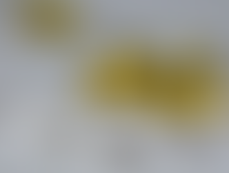 Choosing the Right Choline Supplement for Pregnancy, Brain Function and Organ Repair