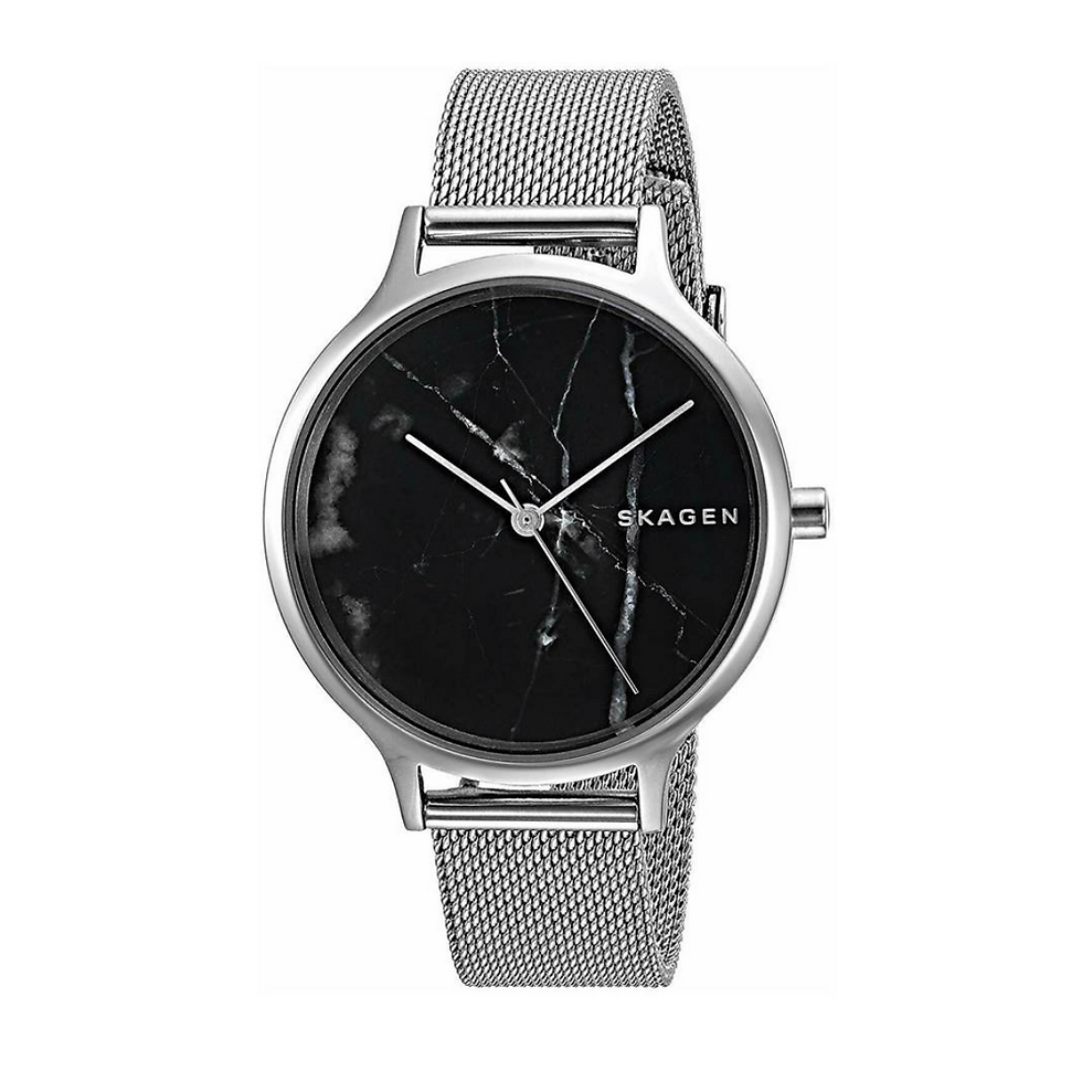 RELOJ SKAGEN	SKW2673