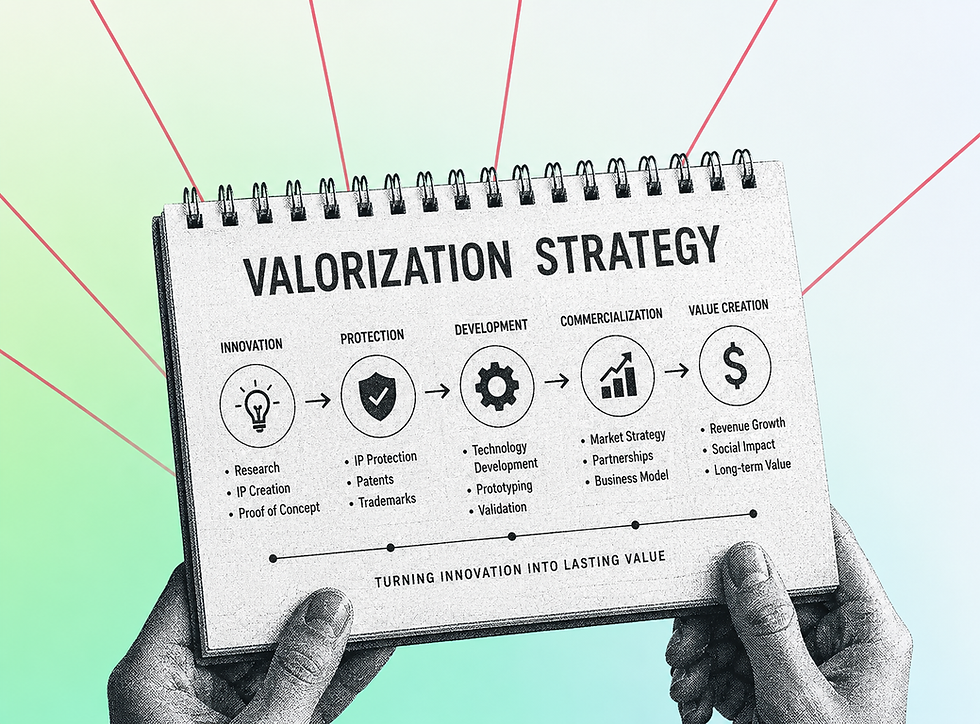 Valorization Strategy 2.png