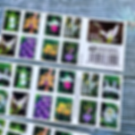 USPS WILD ORCHIDS 2020 FOREVER STAMPS - BOOKLET OF 20 POSTAGE STAMPS