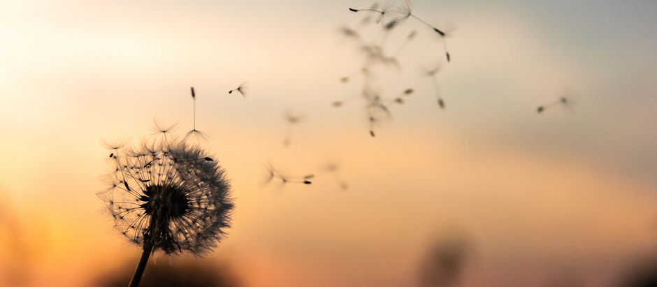 Life is short. Learn how to live well!