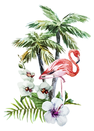 Tropical Fleurs et Flamingo