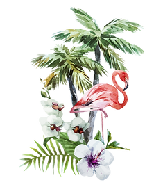 Tropical Flowers & Flamingo