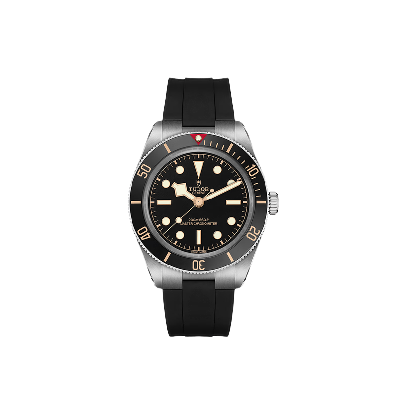 Tudor Black Bay 58 7939A1A0NU-0003 - New