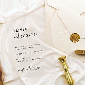 Simple Modern and Minimalist _ Clear Acrylic Wedding Invitation
