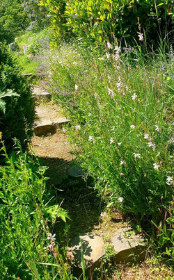 2021-06-06 Chateauneuf d Isere et Jardin