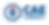 CAE Colored Seal with Logo on White Background