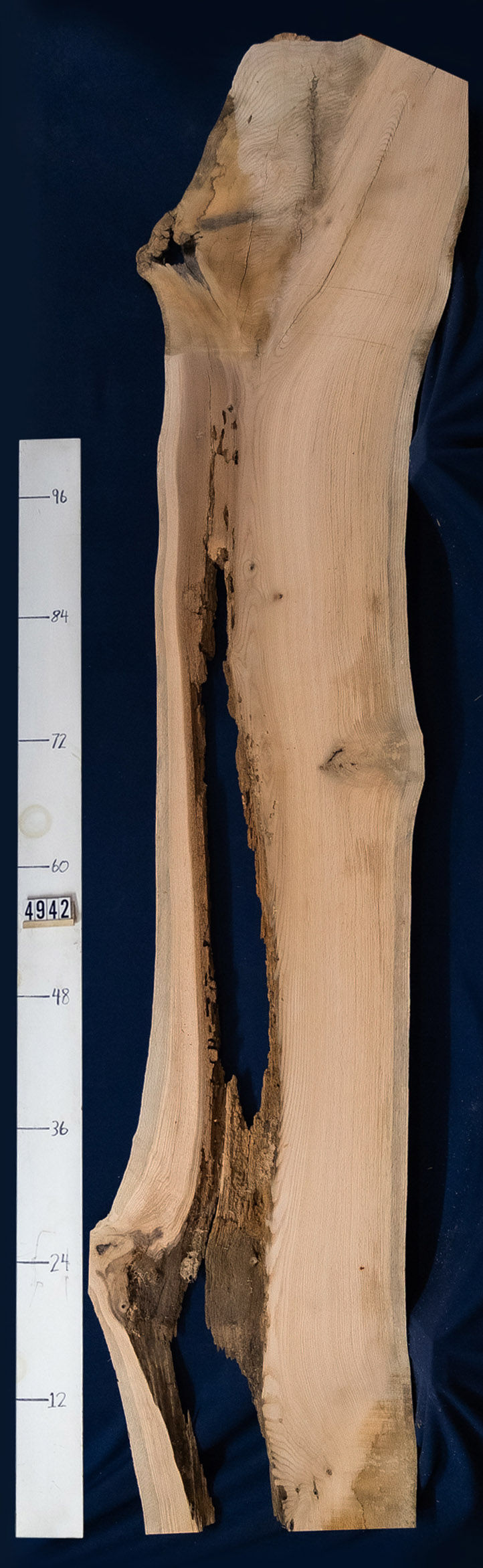 Thumbnail: Red oak slab 
