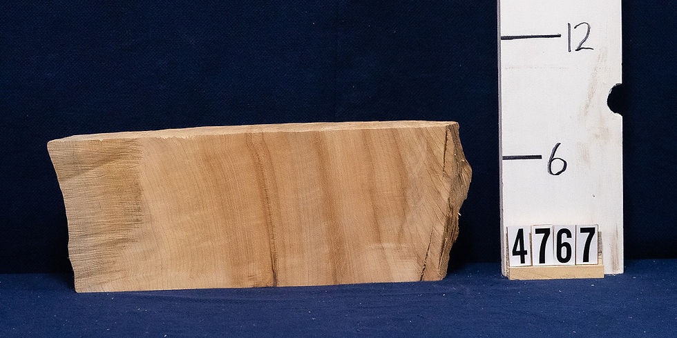 Thumbnail: Maple off cut 