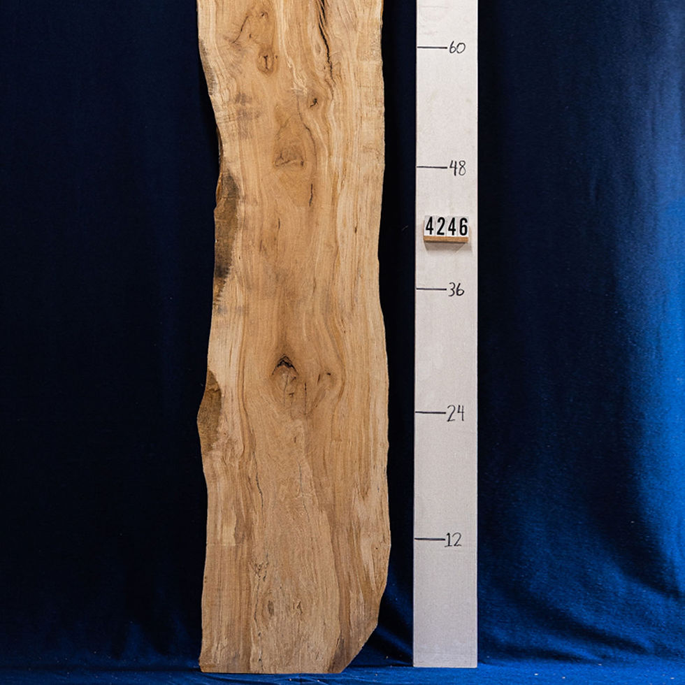 Thumbnail: Maple crotch slab 