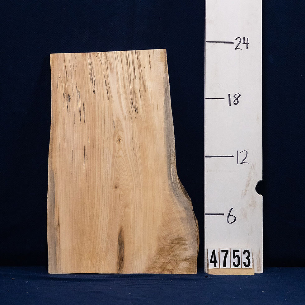 Thumbnail: Spalted Maple charcuterie stock 