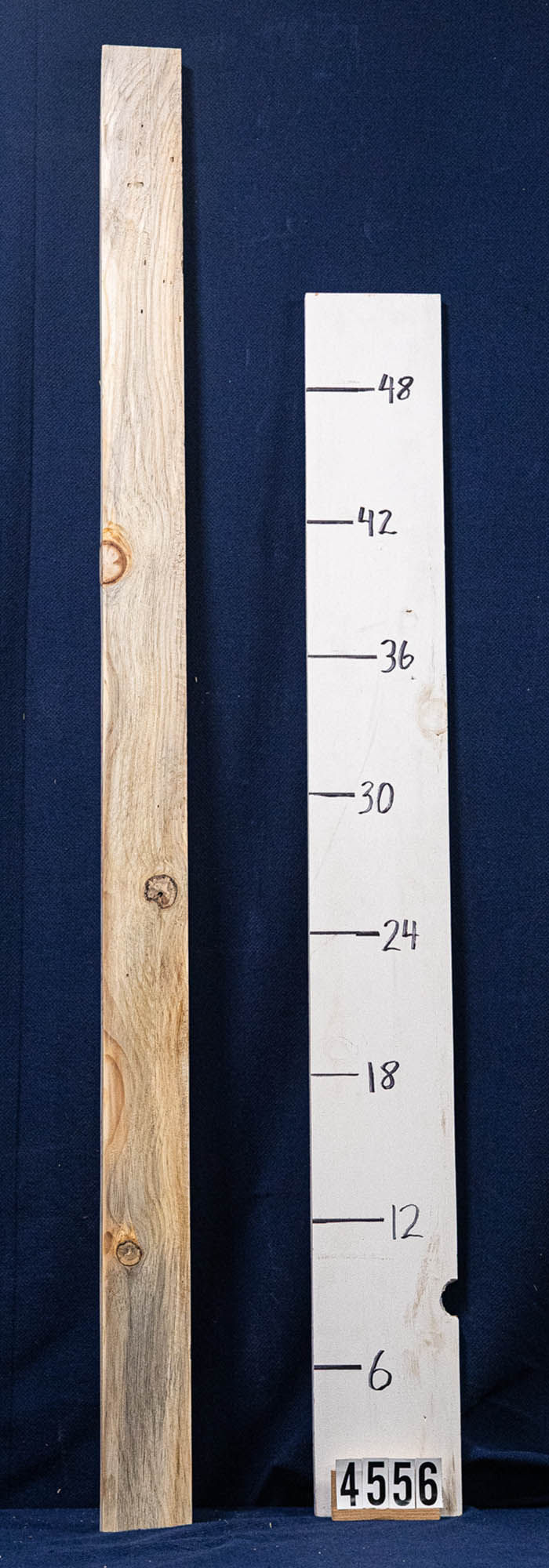 White pine off cut 