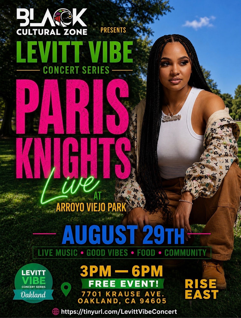 Levitt Vibe Concert Series 