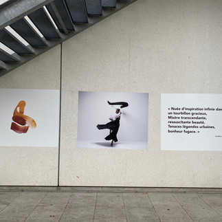 Exposition Mouvements dans les Hautes-Noues