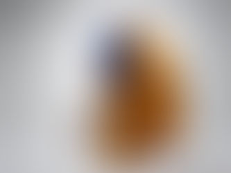 Exposition "Mouvements"