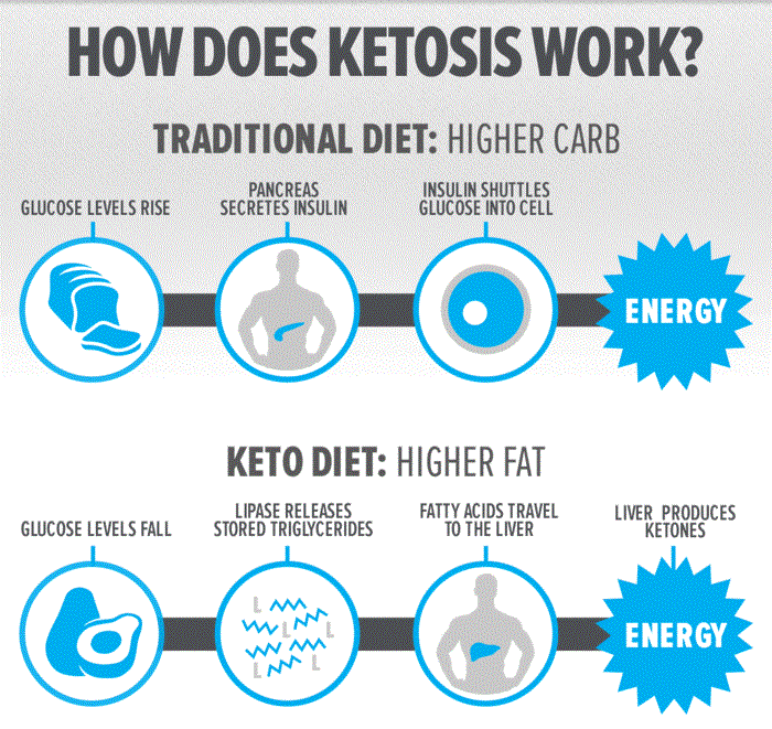 how-does-ketosis-work-infographic-700xh.gif