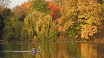 Four Great Autumn Park And Pub Walks In Central London