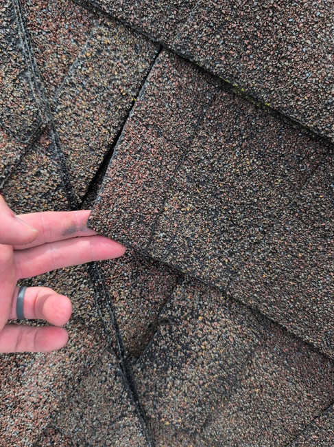 Lifted shingle cracked with water penetration