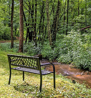 Guests enjoying quiet relaxation in hammocks surrounded by nature at a North Georgia spiritual retreat