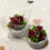Thumbnail: Dried Flowers Miniature Terrarium in gift box