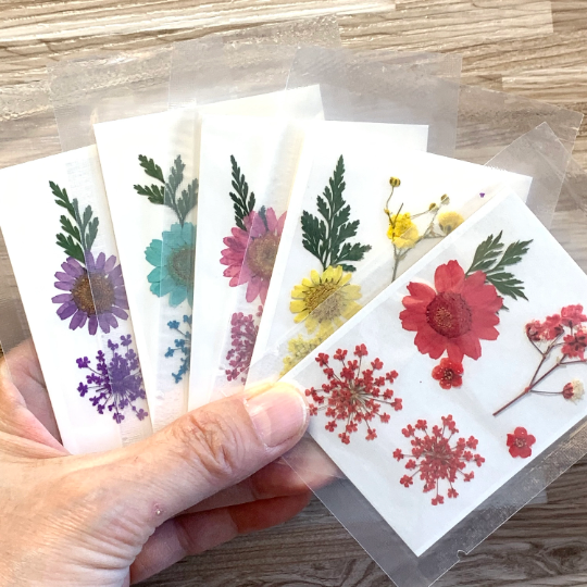 Thumbnail: Pressed Dried Flower Dry Plants for Resin Art/DIY Craft/Accessories (Small pack)