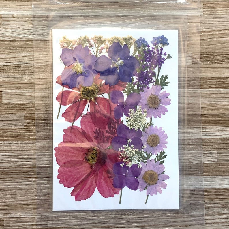 Thumbnail: Pressed Dried Flower Dry Plants for Resin Art/DIY Craft/Accessories
