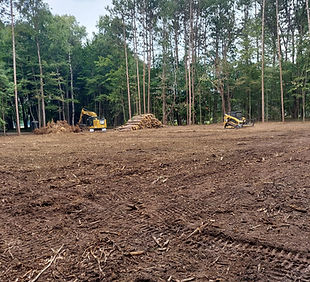 land clearing, tree removal, stump removal