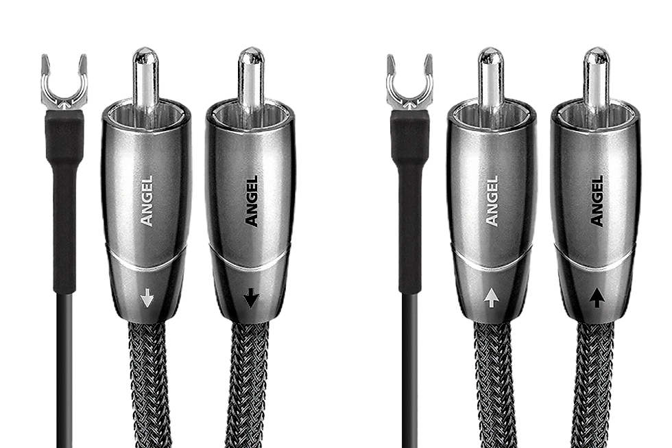 audioquest Angel 72v DBS / Plattenspieler-Kabel / 1,2m