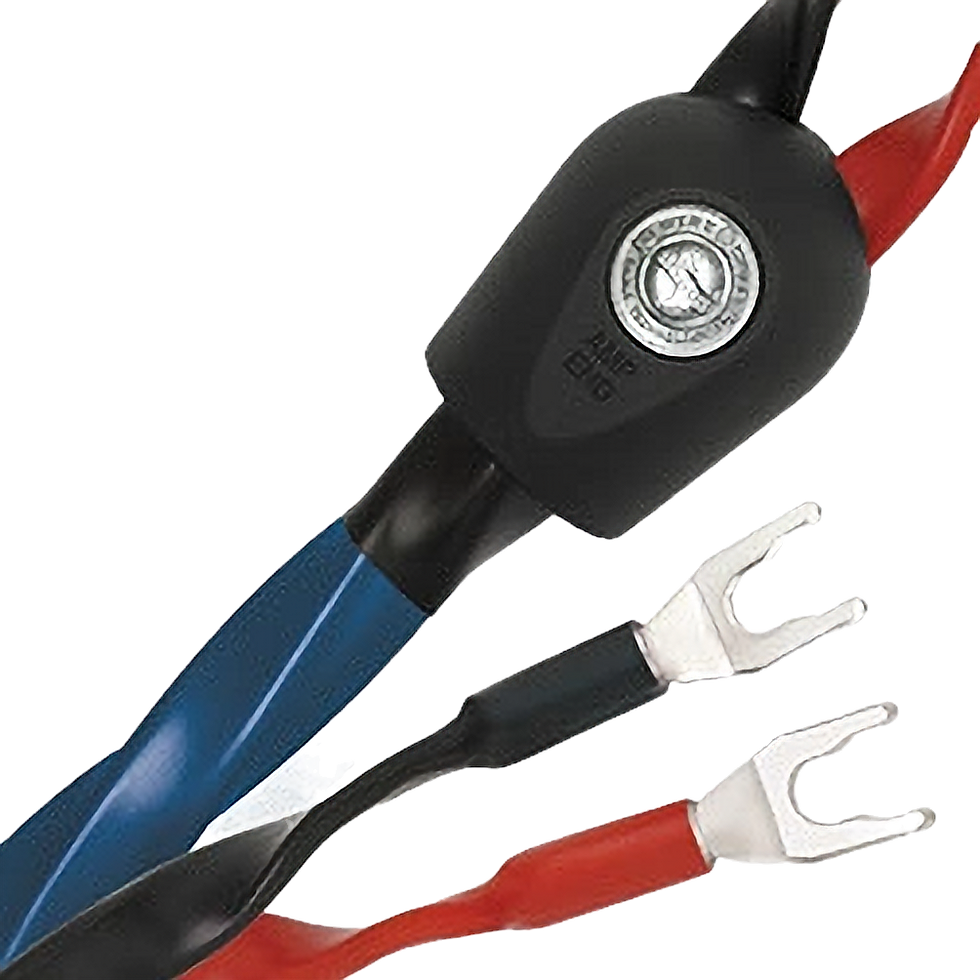 WireWorld Oasis 8 / Paar / Lautsprecherkabel