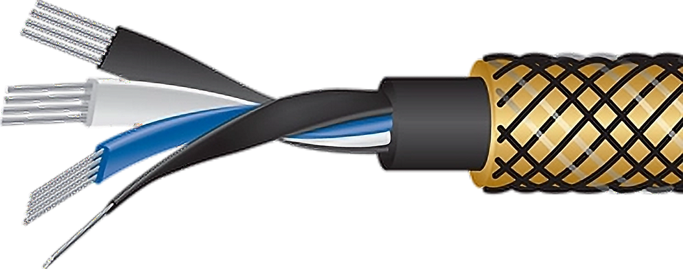 Miniaturbild: WireWorld Gold Eclipse 8 / Paar / NF-Kabel