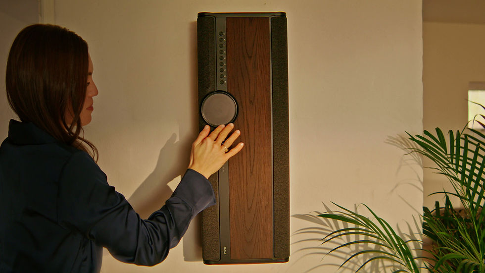 Miniaturbild: DALI VEGA / All-in-One-Klangsystem