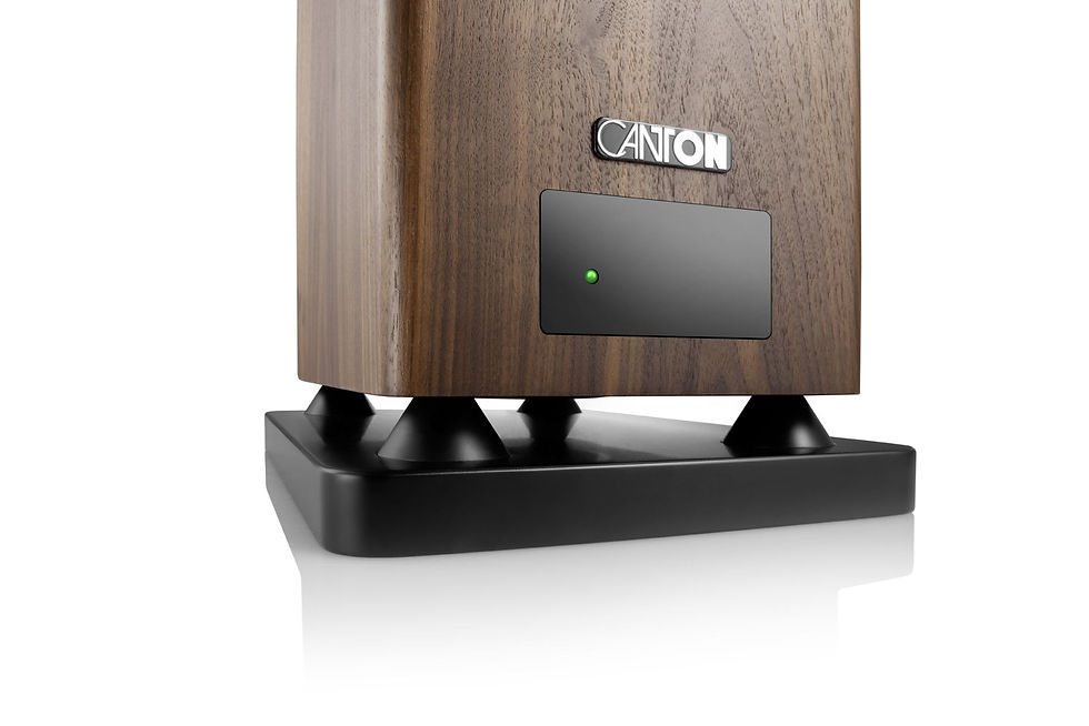 Miniaturbild: Canton Smart Townus 8 / Paar
