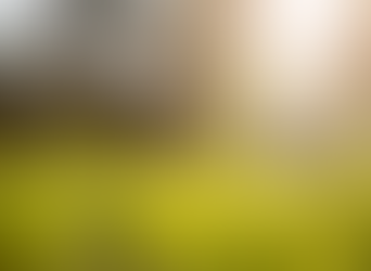 O que é Geobiologia?