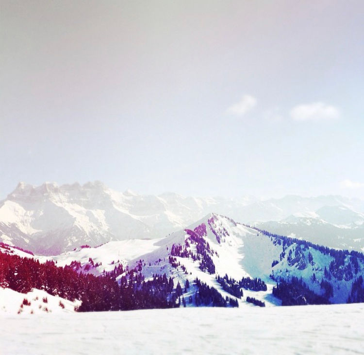 Ski or Snowboard