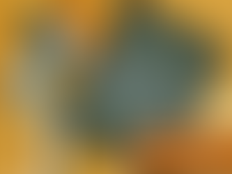 Programme de soutien en communication et marketing numérique