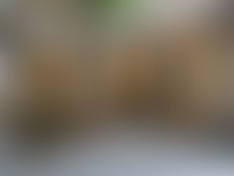 Cele mai bune termopane pentru dezvoltatori de vile și case în 2025