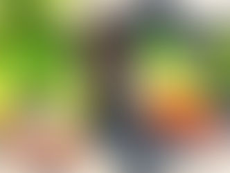 Certificari Fabrica termopane Salamander.