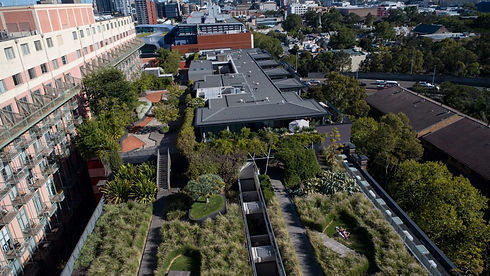 Green Roof.jpg
