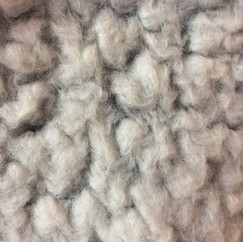knoblich_20221103_ (23).jpeg