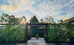 Privacy screens