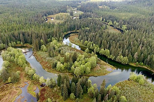 Git'ga-_0005_Screen Shot 2016-09-18 at 12.12.26 AM.jpg