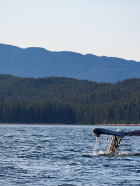 Introducing the Indigenous Loan Guarantee Program