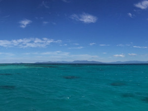 Visit the Great Barrier Reef