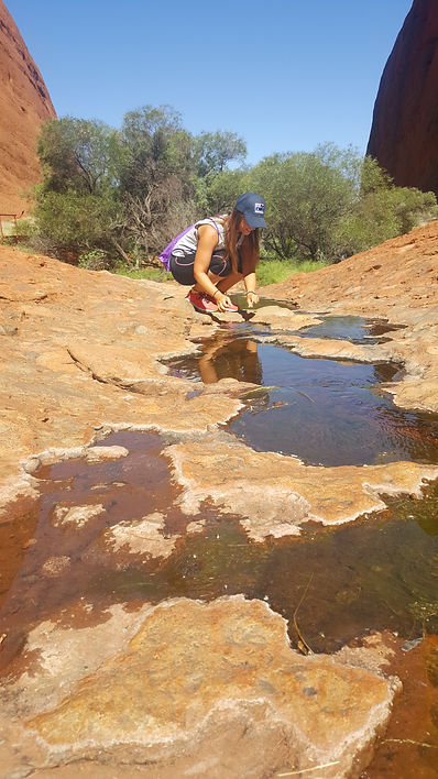 uluru, australia, ono vita