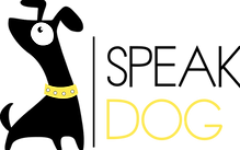 Speak Dog Positive Dog Training