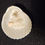 Thumbnail: Small decorative Shells