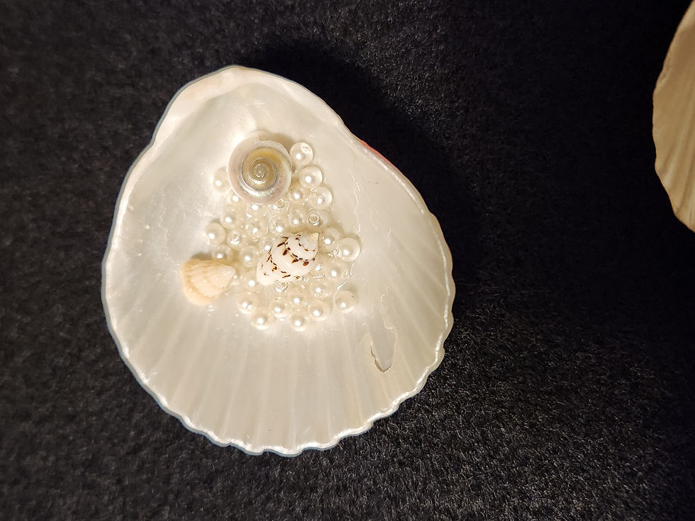 Thumbnail: Small decorative Shells