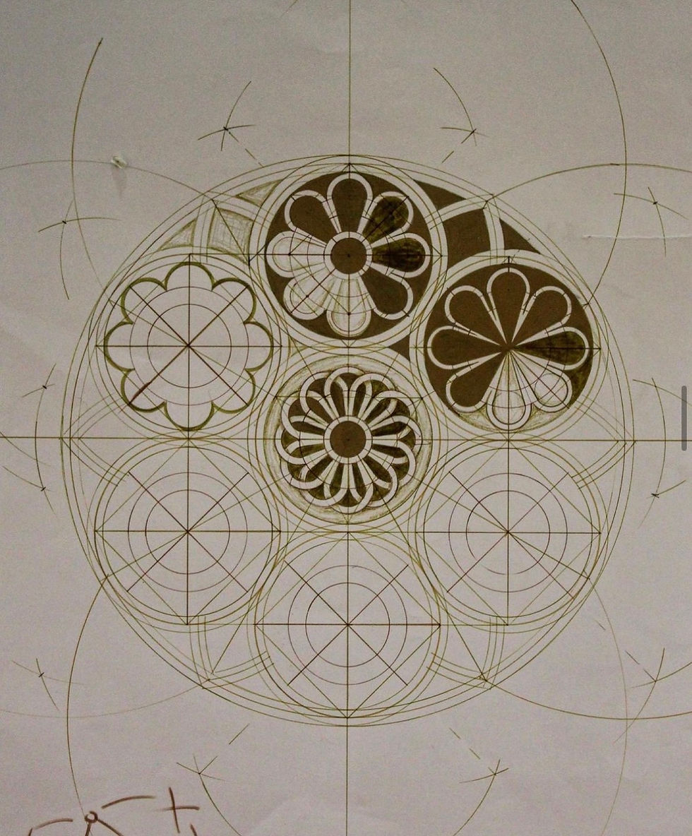 St Patricks, Rose ~ Melbourne